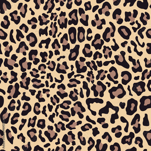  Leopard print vector seamless pattern, wild cat skin, trendy design for your ideas