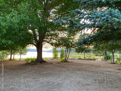 фотографія lakeside hiking trail picnic area national park with pine trees and clearing