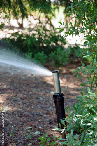 A garden water sprinkler in action spraying the plants