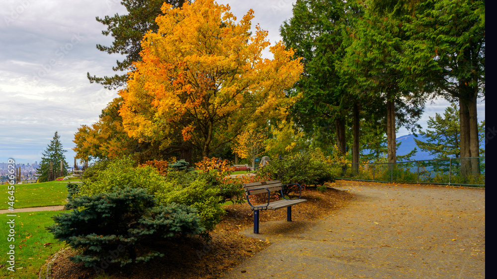 Rest awhile and take in the spectacular Fall view at this wooden park bench in the gardens at Burnaby Mountain Park, BC.