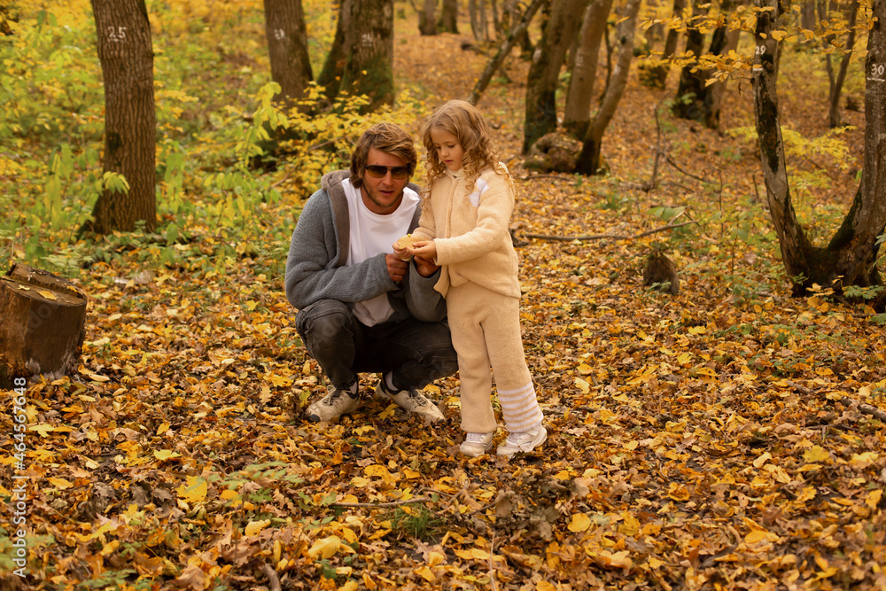 a little blonde girl in a knitted suit looks at a leaf with her father in glasses in a gray knitted jacket in the autumn forest a little blonde girl in a knitted suit looks at a leaf with her father in glasses in a gray knitted jacket in the autumn forest
