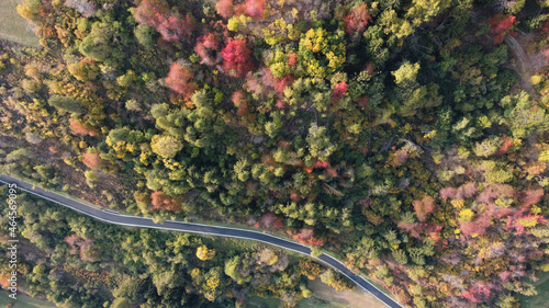 strada autunno colori autunno bosco montagna strade 