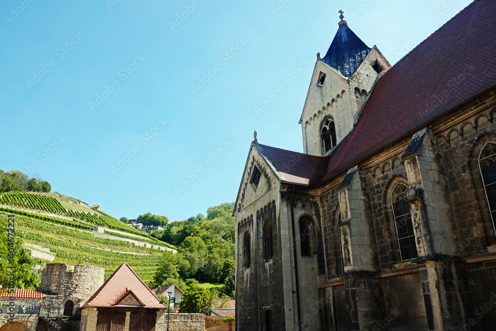 Freyburg (Unstrut) St. Marien Weinberge Freyburg (Unstrut) St. Marien Weinberge