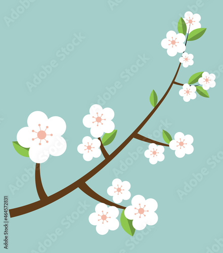 cherry blossom background