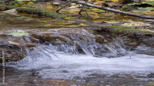 Water flows in a small stream with colorful autumn leaves