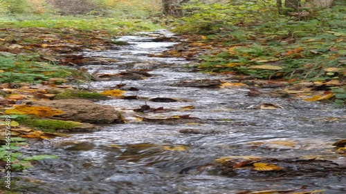 Water flows in a small stream with colorful autumn leaves
