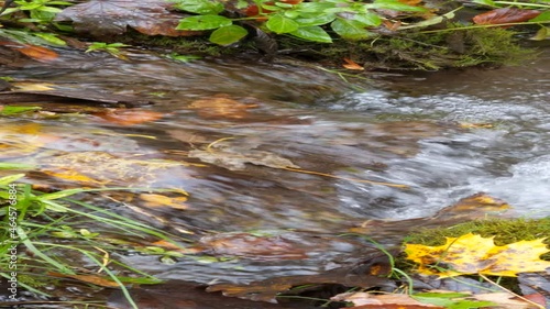 Water flows in a small stream with colorful autumn leaves