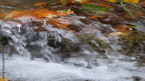 Water flows in a small stream with colorful autumn leaves