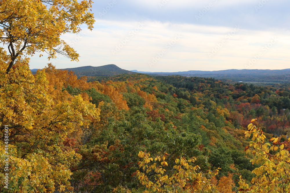fall foliage hills