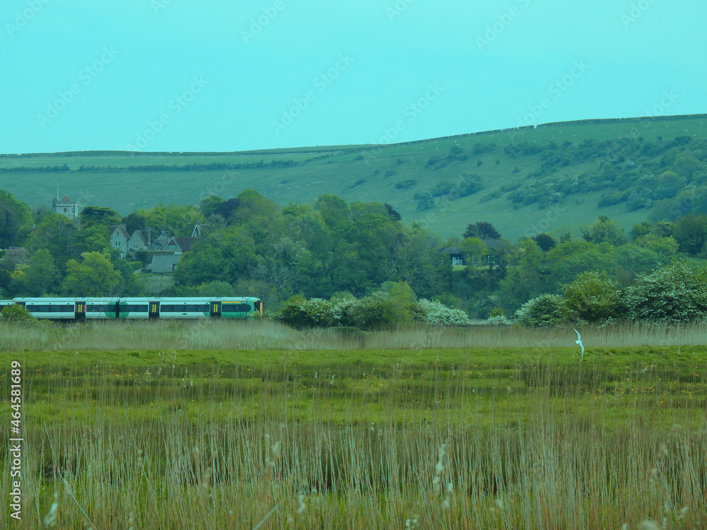 Fototapeta premium Rural landscape with a running train in the UK
