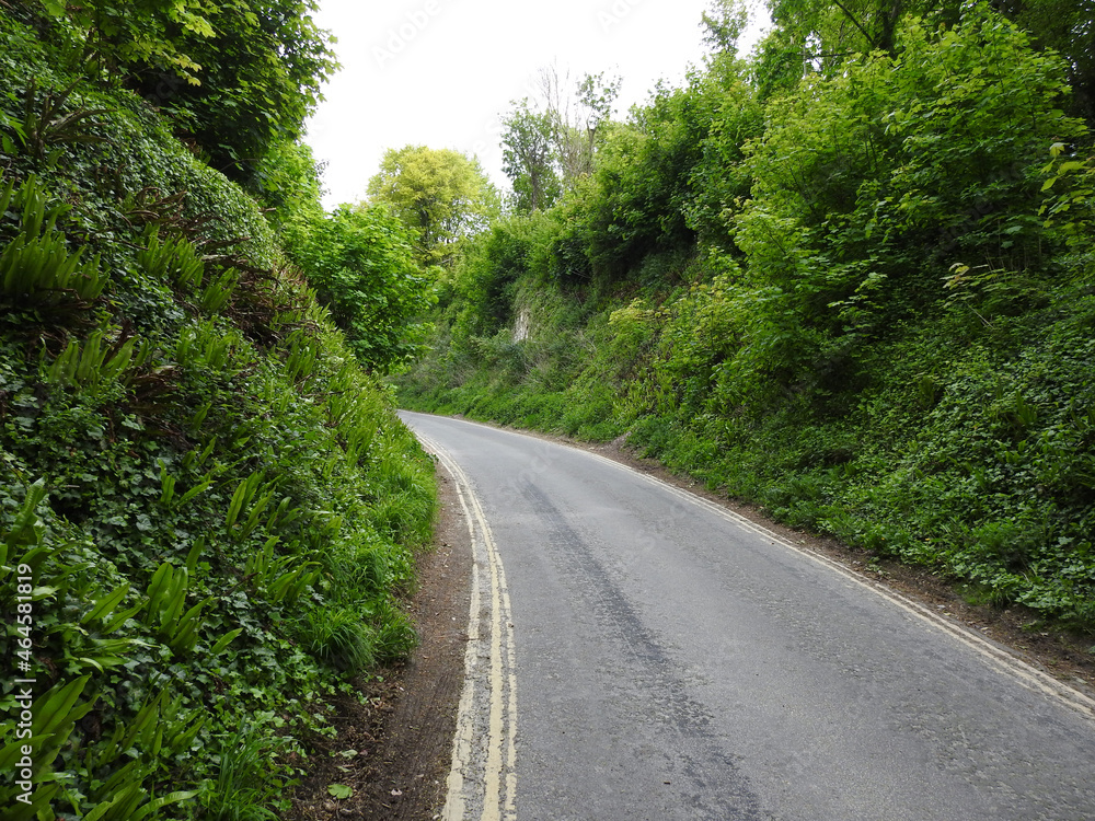 View of the narrow road uphill in mountainous terrain with green vegetation View of the narrow road uphill in mountainous terrain with green vegetation