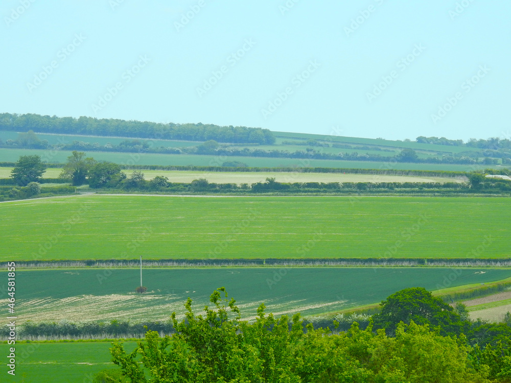 Rural green landscape in the UK