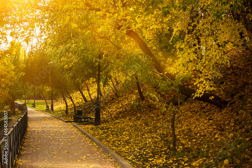 Autumn park for walking, road with yellow leaves. Beautiful fall season in Kharkov, Ukraine