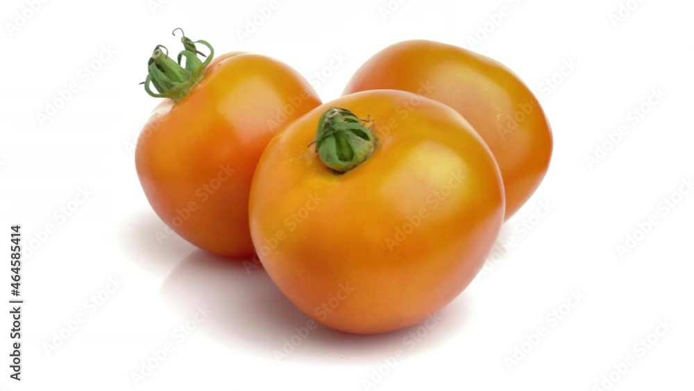 orange tomato on white background orange tomato on white background