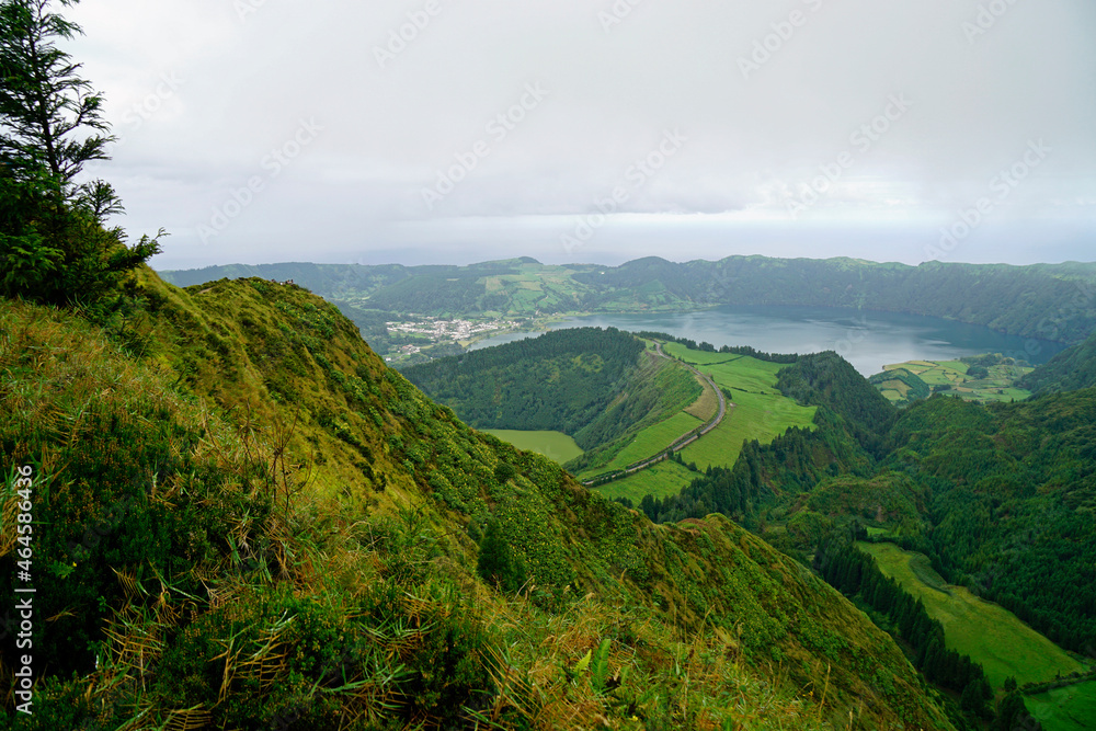 wild nature on the azores islands 