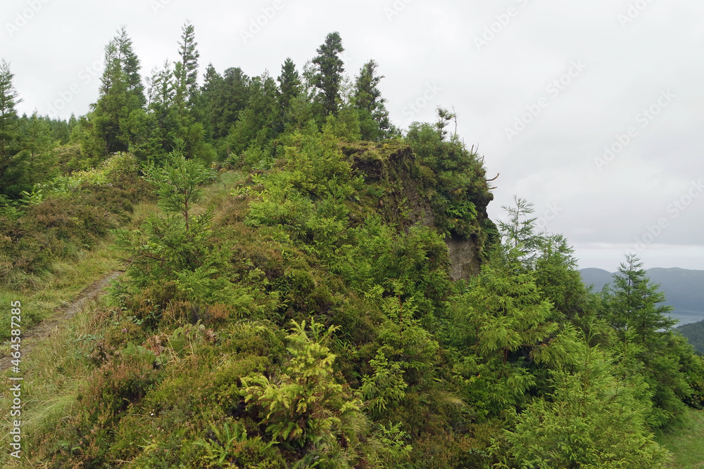 overgrown volcanic landscape on the azores overgrown volcanic landscape on the azores