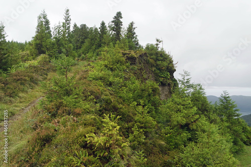 overgrown volcanic landscape on the azores