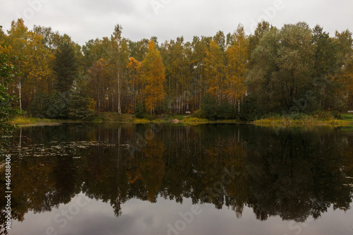 Golden autumn in Moscow area, Russia. Lake and yellow trees photo