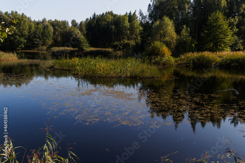 Sunny day in summer by the lake. Moscow region, Noginsk area, Russia.  Reflections in water photo