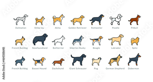 Fototapeta Naklejka Na Ścianę i Meble -  Dog breeds icons set: akita, rottweiler, beagle, domerman. Isolated linear vector illustrations on white background. Filled outline, editable strokes. EPS10