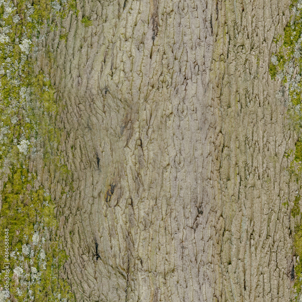 Obraz premium VARIOUS NATURAL STONES