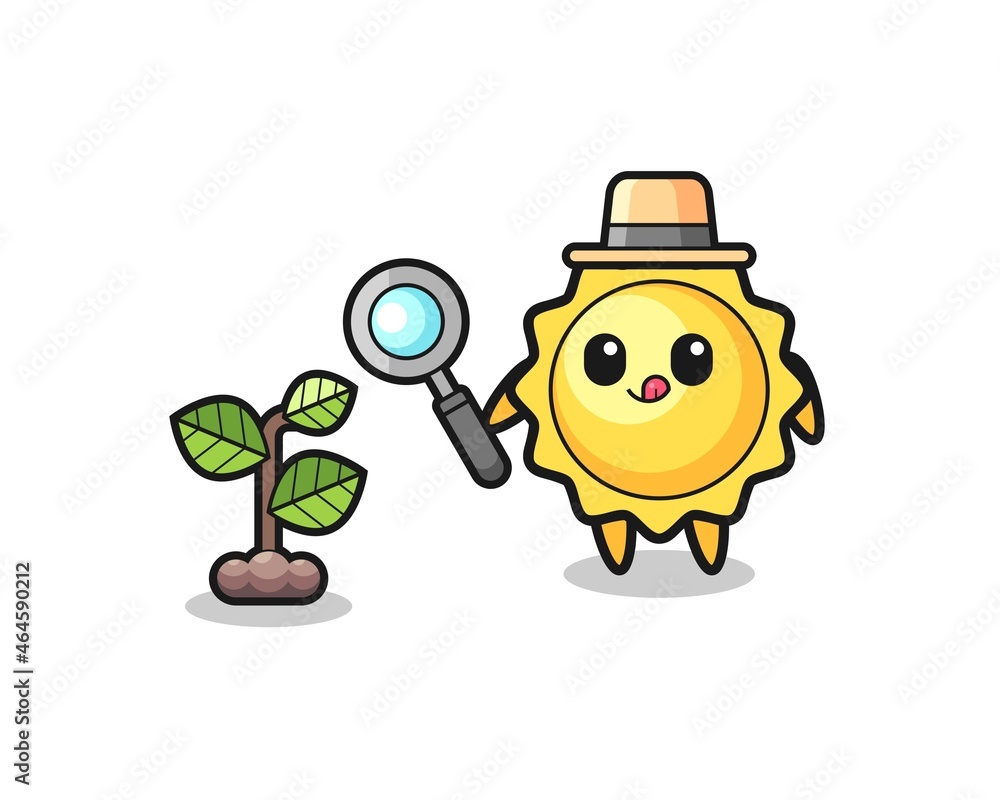 cute sun herbalist researching a plants cute sun herbalist researching a plants