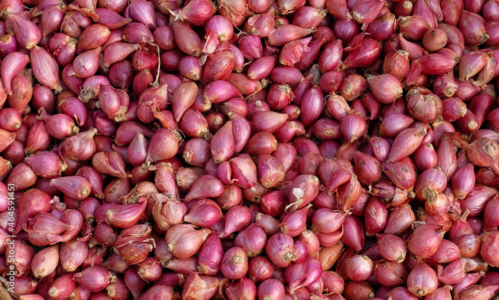 Red onions - Large quantities of red onions in the basket Red onions - Large quantities of red onions in the basket