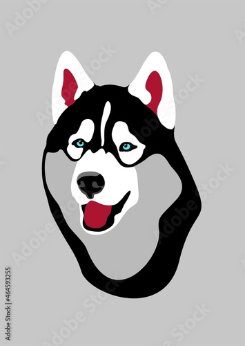 Illustration of a dog husky