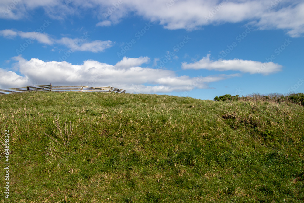 grass and sky