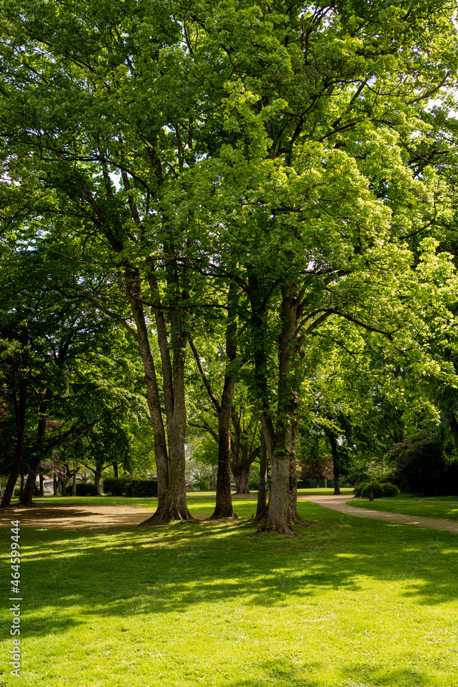 Stadtpark Stadtpark