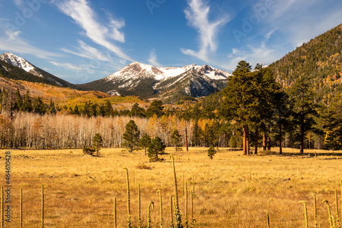 Tableau sur toile Lockett Meadow and San Francisco Peaks in Flagstaff, Arizona