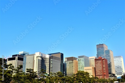 Urban cityscape skyline landscape with trees on the foreground and clear blue sky in the background. Concept city and suburban life. Copy space © jbramos