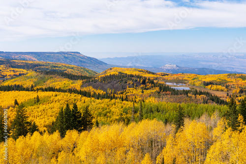 Bild auf Leinwand Aerial view of autumn, falls colors of Grand Mesa National Forest from overlook