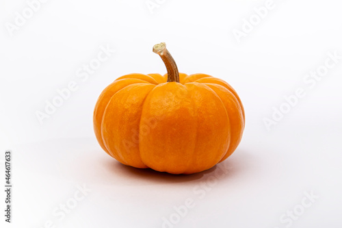 orange pumpkin isolated on white background. Pumpkins are widely grown for commercial use and as food, aesthetics, and recreational purposes. Much consumed on Thanksgiving Day and Halloween decoration