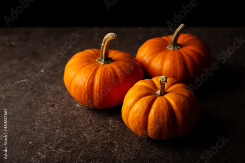 Small orange pumpkins with black background. Pumpkins are widely grown for commercial use and as food, aesthetics, and recreational purposes. Much consumed on Thanksgiving Day and Halloween decoration photo