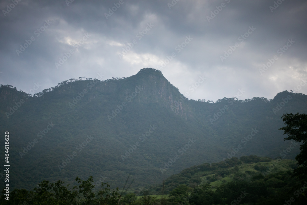 Sierra de manantlan, autlan de navarro, jalisco Sierra de manantlan, autlan de navarro, jalisco