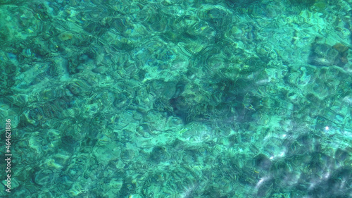 coral reef in the sea