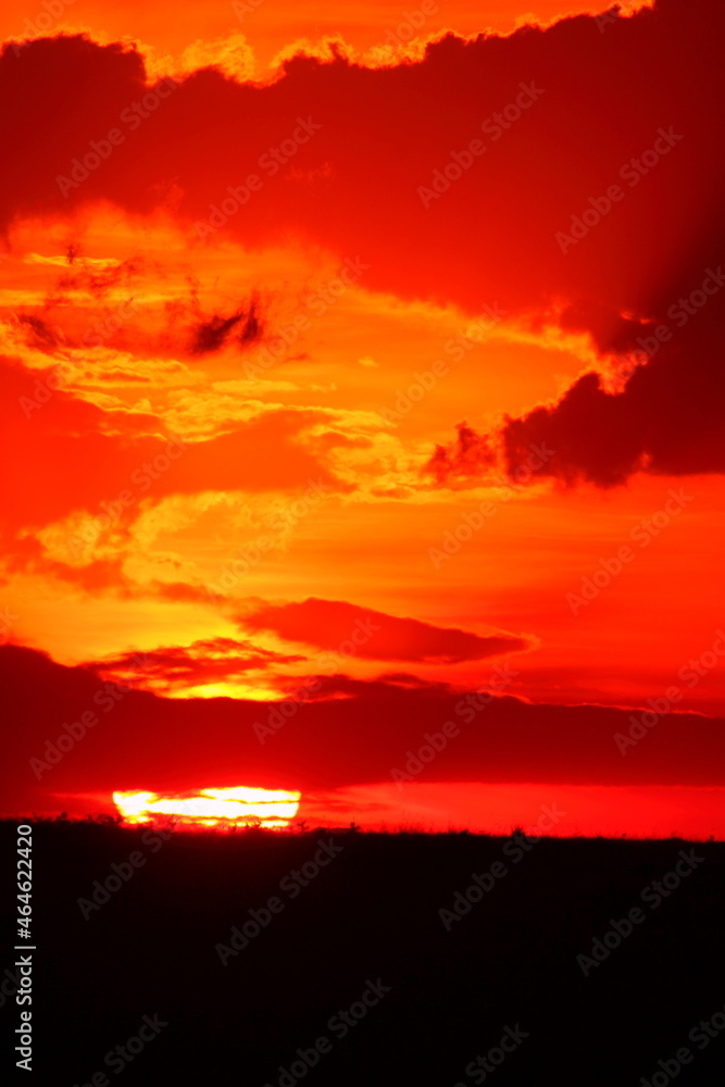 Fototapeta premium アフリカマサイの夕日