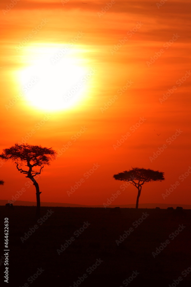 アフリカマサイの夕日
