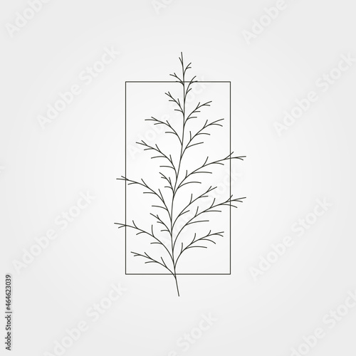 cedar pine tree leaves minimal icon vector symbol illustration design, line art plant illustration design