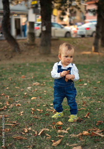 Cute little baby walking on the grass in a park