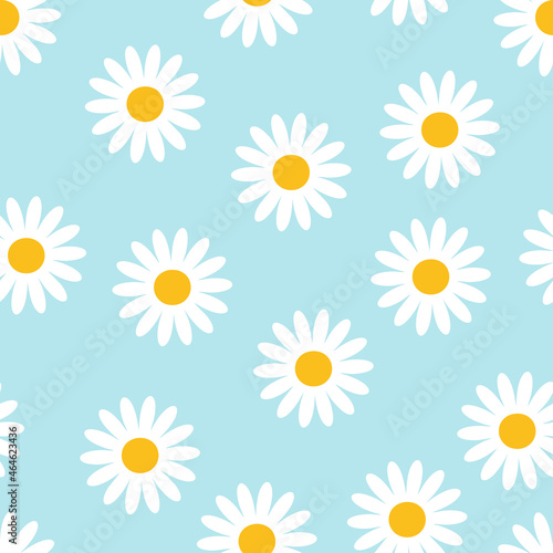 
Beautiful white chamomile vector flower on blue seamless background
