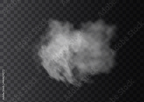 Fog or smoke isolated transparent special effect. White vector cloudiness, mist or smog background.