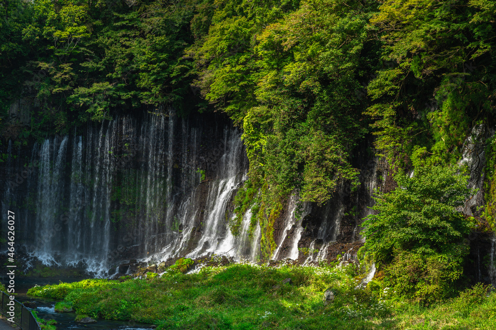 白糸の滝　静岡県