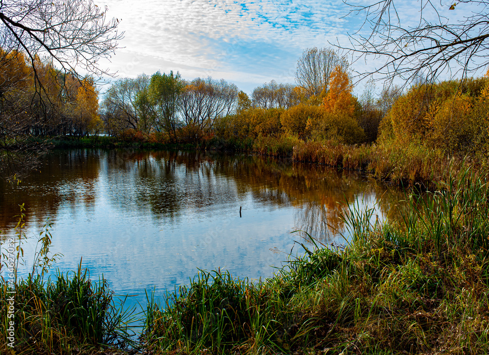 Fototapeta premium autumn trees reflected in water