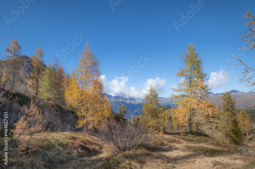 Landscape or mountain with autumn larches.jpg