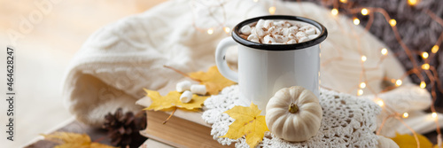 Autumn composition with hot chocolate with marshmallow. Aromatherapy on a grey fall morning  atmosphere of cosiness and relax. Wooden background  window sill  banner