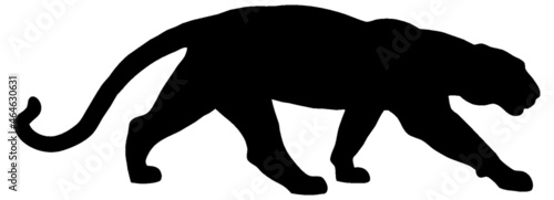 Black and white vector silhouette of an adult crouching leopard. Isolated on white background.