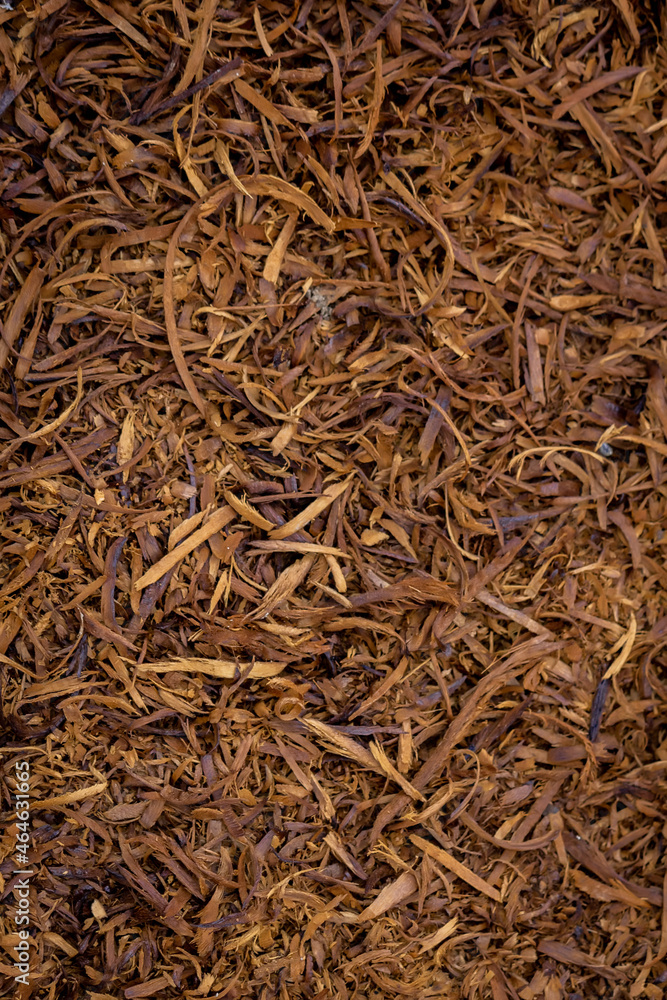 The sawdust that is decomposing faces the ground. The sawdust that is decomposing faces the ground.