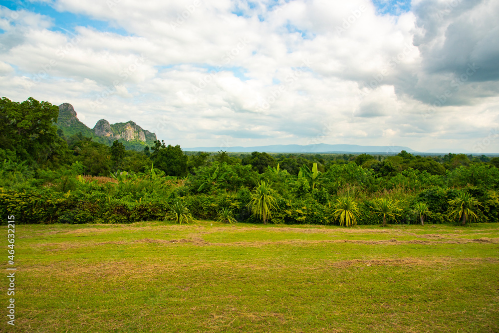 landscape with forest and mountain  and blue sky